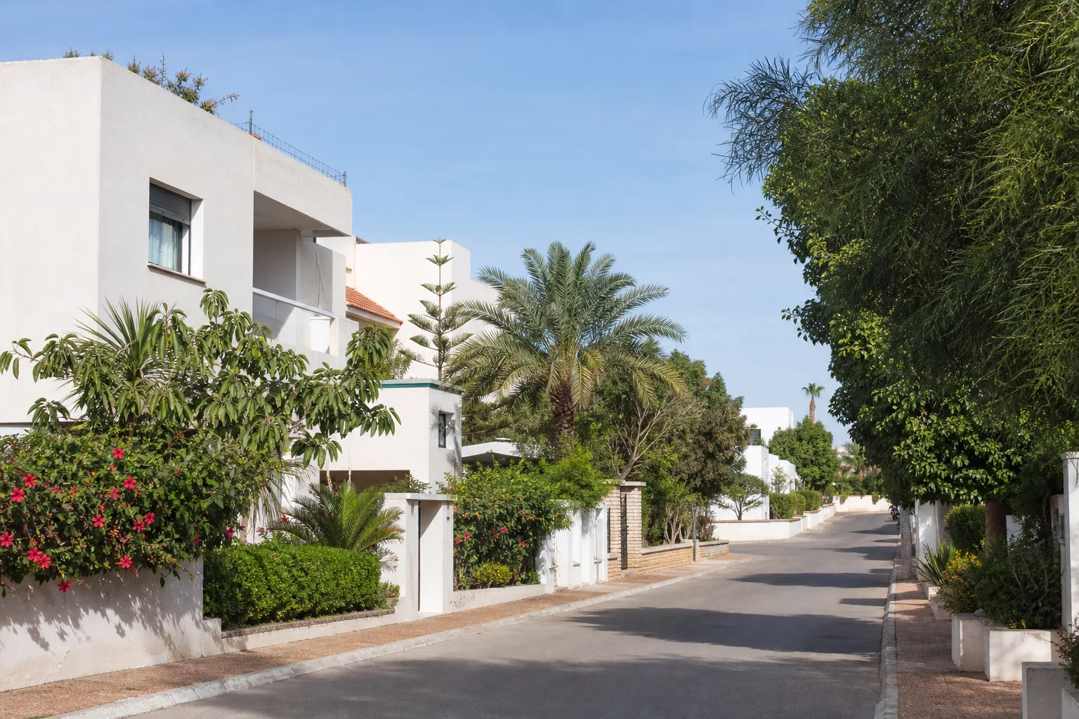Rue calme bordée de villas et jardins dans le quartier Cité Suisse à Agadir